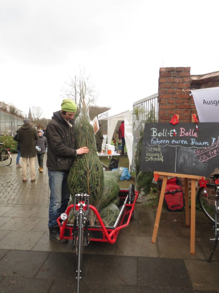 Nachhaltige Weihnachtsbäume geliefert von Bolle und